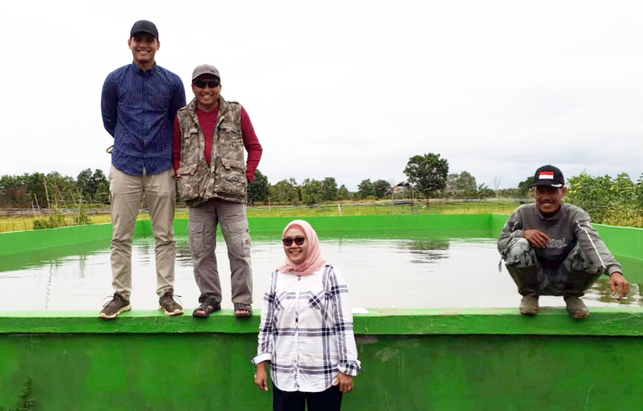 Embung di Lahan Rawa, Kiat Ditjen PSP Tingkatkan Indeks Pertanaman Padi